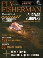 Fly Fisherman